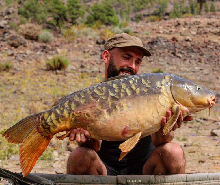 *MAKING IT LOOK EASY*heres Ray Rutter with his 40th fish of the week and 4th thirty, <a href="/DusterBaits/">Duster Baits</a> matrix and nutrix