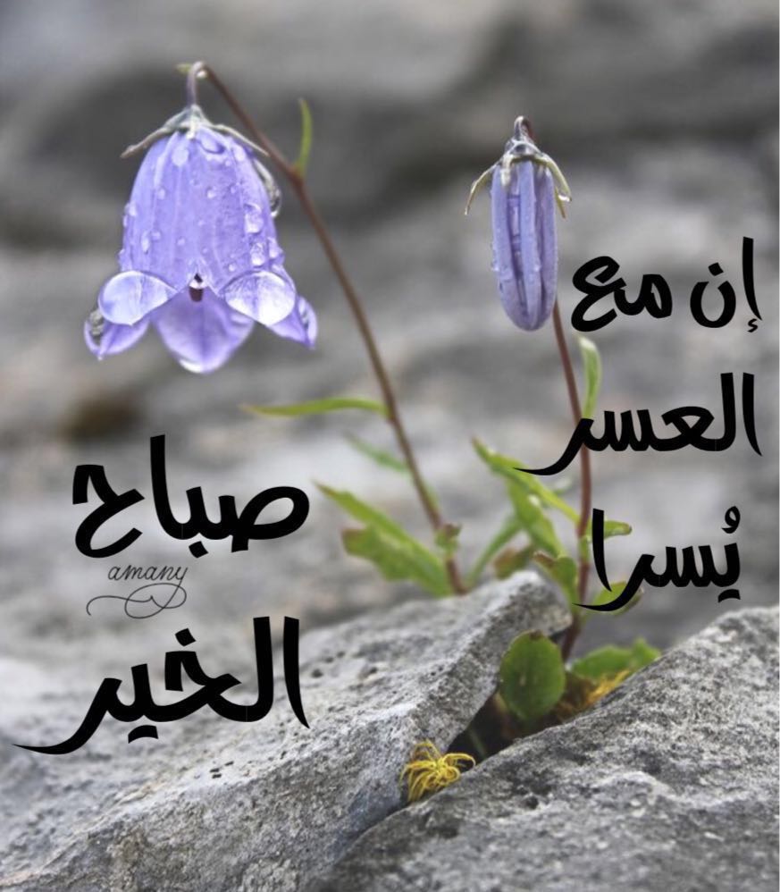 <a href="/ahmad2012857/">رتويت الشيعة ~ ٣١٣</a> @amalhope818 <a href="/ali_aliabed86/">عّلُيّ الُخِفُاجَيّ</a>  <a href="/mutaimat_ilia/">متيمة_ايليا</a> <a href="/ILYAAIS/">ايلـيا الثــائر</a> <a href="/Aytam_Q8/">•┅┈أيتـآم♡الحجـہ┈┅•</a> <a href="/missgga/">MissG⭐</a> <a href="/Rt2Shia/">ريتويت شيعي ✨</a> <a href="/Banoottaa565/">رتويت للشيعه</a>