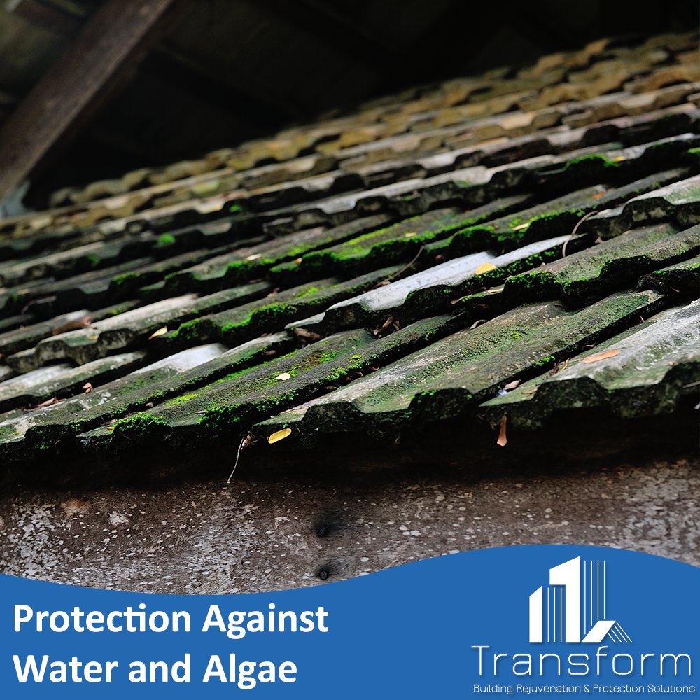 Transform_YP's tweet image. If you’re a new property owner we can help you protect your building against discolouration, water damage and algae.