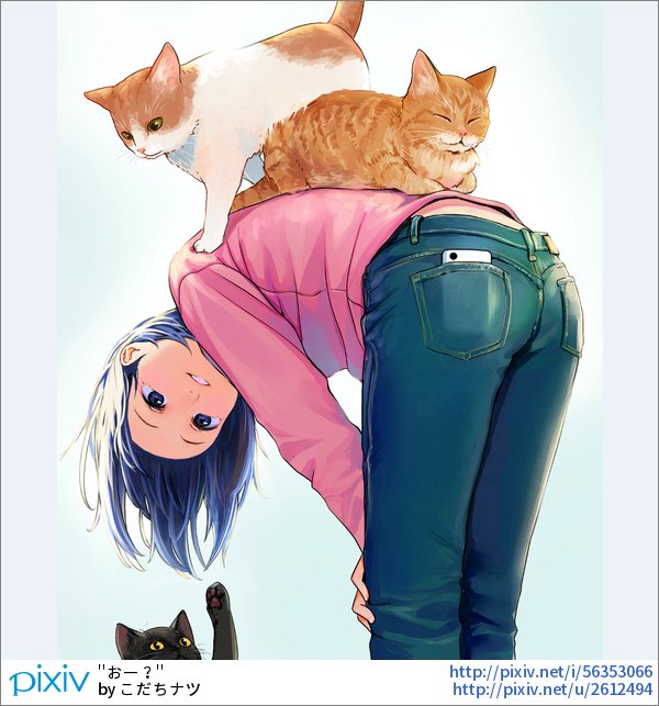 pixivision tweet media