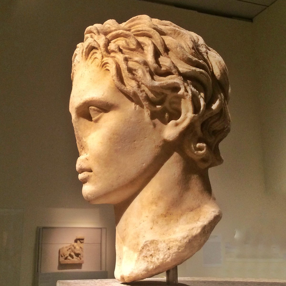 SedefsCorner's tweet photo. Alexander the Great born OTD 356BC, Roman C.of Greek bronze ca.330BC w anastole (hair @ crown of head) #MetPergamon https://t.co/s3HwU3F8eZ