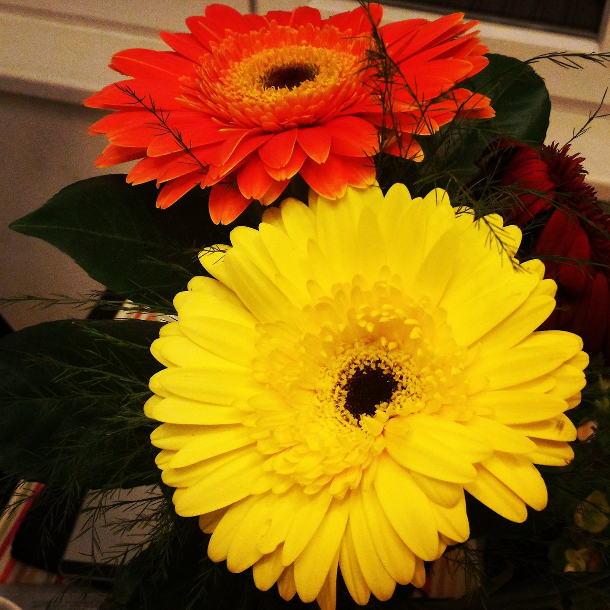 CraftsAtelier's tweet photo. Mid week #moodboost! #flowers. #yellow #orange #inspiration #gift #mood #boost  #home #decoration https://t.co/QsNYS9neDM