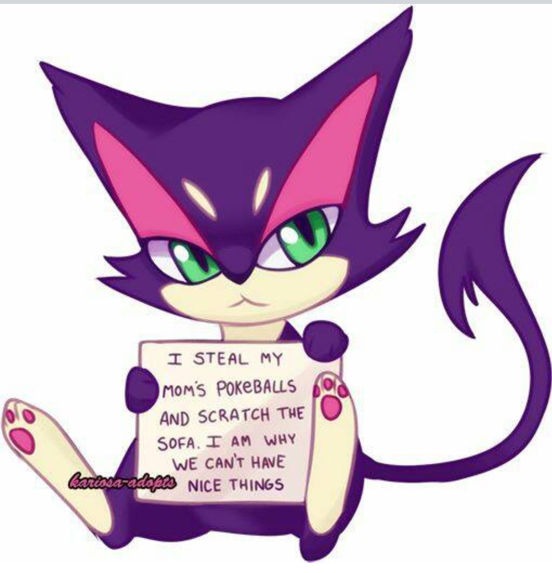 _Chibimall's tweet image. 🐾