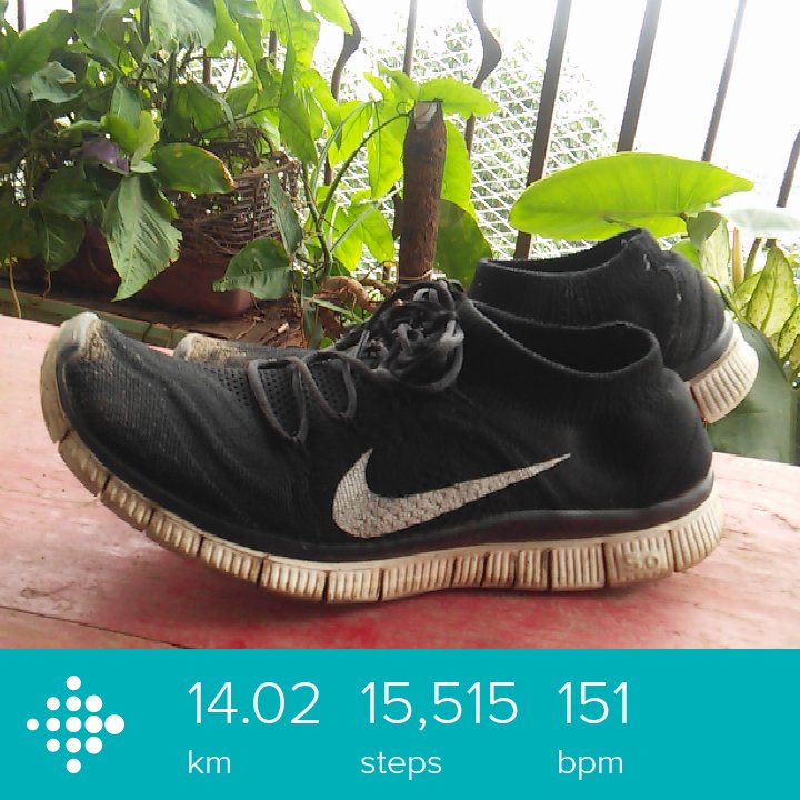 MoooKoool's tweet photo. Was a good morning #Fitbit #fitbitIN #monsoonfit #MumbaiRunners #fitness #runningshoes #JoyOfRunning https://t.co/67nQoA1sWY