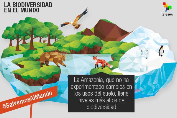 Ver imagen en Twitter