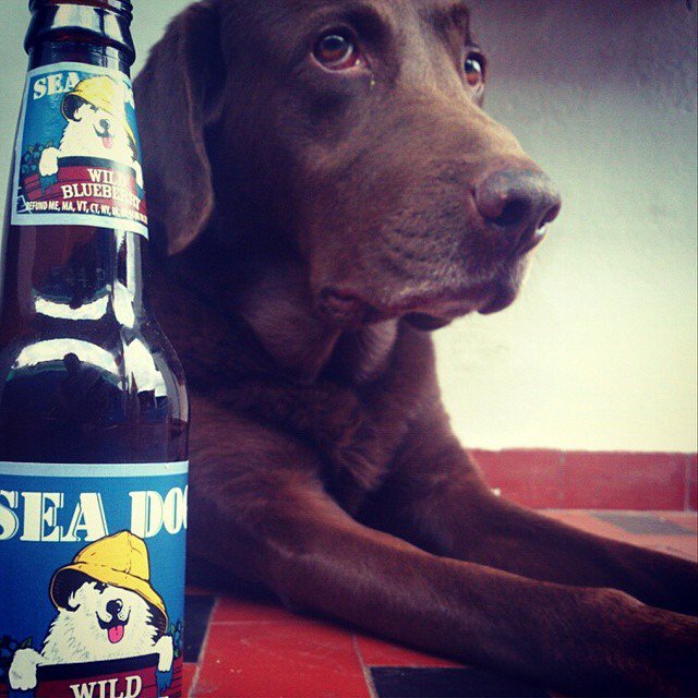 Beer Facts (@beer_knowledge) on Twitter photo 