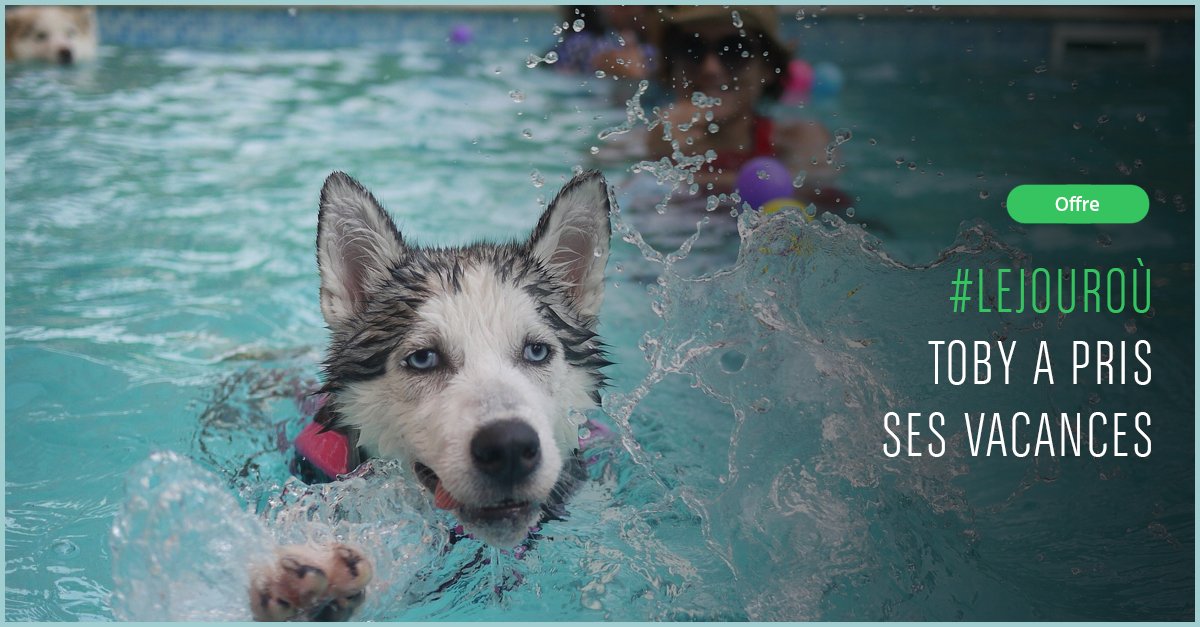 mabanque_bnpp's tweet image. Profitez de -50% sur la Protection Habitat télésurveillance, jusqu&apos;au 31 juillet. #offre
bit.ly/1WZOcu4