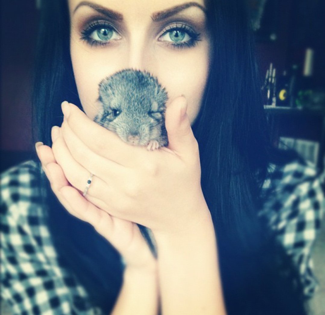 MotionlessWoman's tweet image. Look how cute it is. Aweeee. 😍