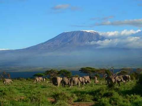 Africa's Top Roof Mountain Kilimanjaro in Tanzania