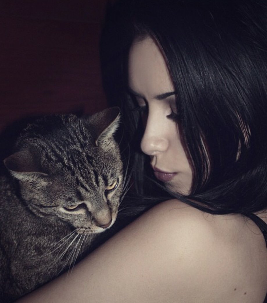 MotionlessWoman's tweet image. 😽