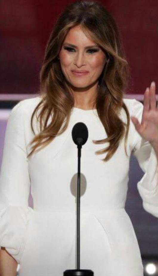MILEBRED's tweet photo. "These accusations of plagiarism are not only hurtful to me, but they are hurtful to my children Sasha &amp; Malia." https://t.co/qAiSjHByf8