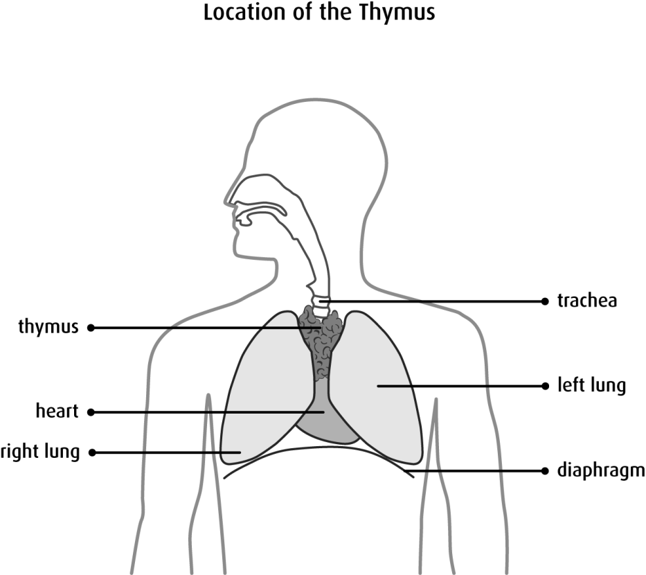 drpramojjindal.com/what-is-lung-c…

#Uncontrolled #growth of abnormal cells in one or both #lungs is known as #lung #cancer.