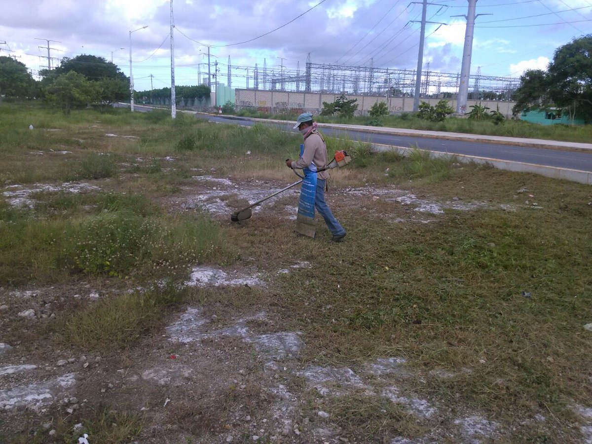RelaxInCancun's tweet photo. AltavozCancun: RT EmmanuelZetina: Continuamos la limpieza del camellon de #Av20DeNov PaulCarrillo2 AytoCancun Vivo… https://t.co/l0056YgI1S