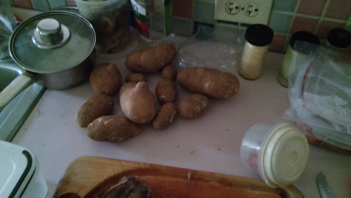 Mistokus's tweet photo. Fresh picked potatoes yum https://t.co/E0OpPJ3fkq