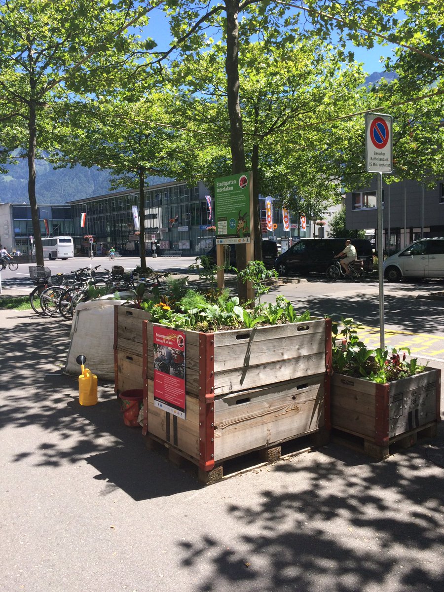 Interlaken16's tweet photo. Update von #Stadtgarten #Ostbahnhof #Interlaken keine Anzeichen von Trockenheit!
Hilfst Du auch dabei?
#Inti125 https://t.co/wcXR2Ud7WD
