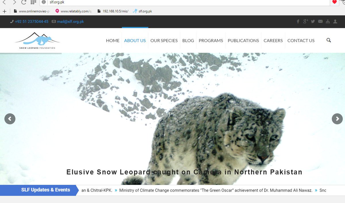 SLFPakistan's tweet photo. Snow Leopard Foundation (SLF) on the web ...
https://t.co/XhlFW8bbHB https://t.co/u0fTU3zvFu