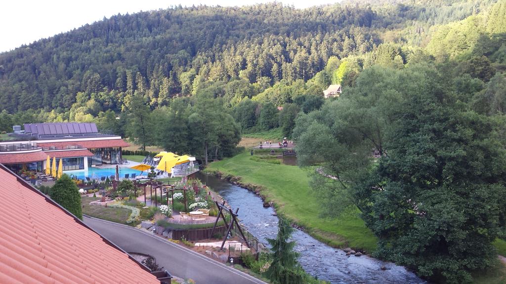 hotel room views tweet media