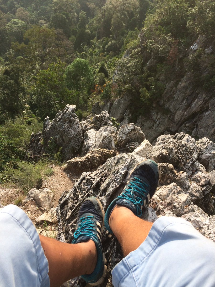 Chill & Wander tweet media