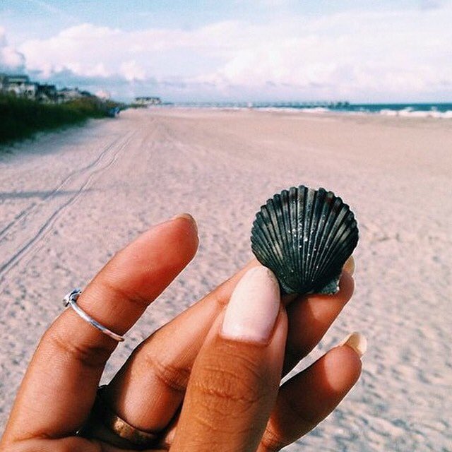 visual_supply's tweet photo. need more beach in my life 🌴😍 https://t.co/Rv952Xy8uL