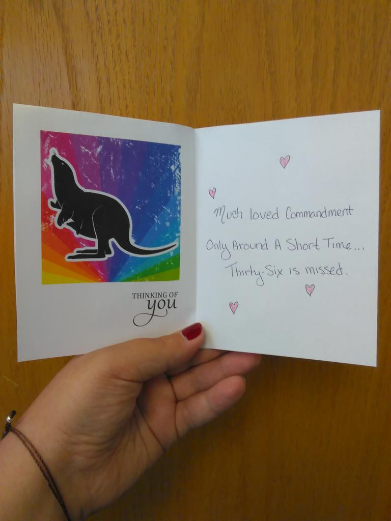 Fyroni's tweet photo. @gishwhes #imiss36 she was such a sweet commandment...one of the best. https://t.co/7JmrI8QYLK
