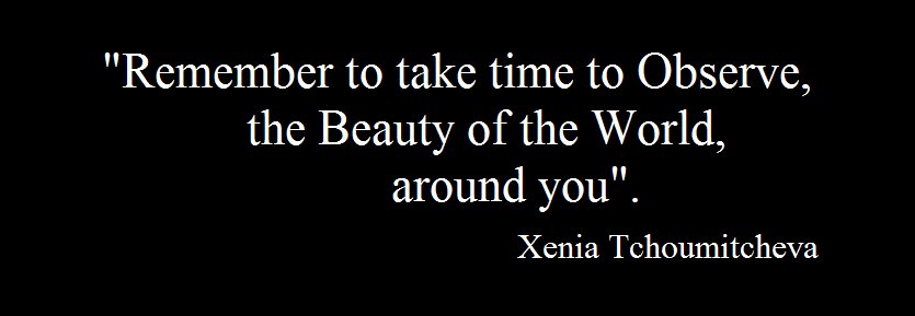 AlbaSensei's tweet photo. #PhraseOfTheNight By #Xenia #Tchoumi @xeniatchoumi @sutterink @KateySagal @jessicaalba @BossBabe_Jen @rosariodawson https://t.co/UKmkipEsfN