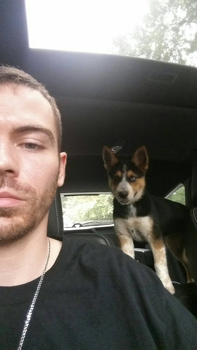 NewSide's tweet image. Got my ridin partner with me #rideordie #puppy #heeler #husky