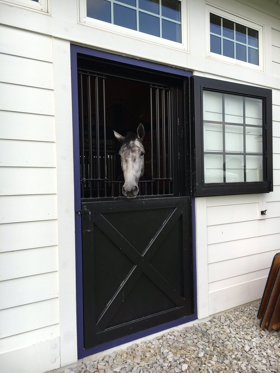 BayouBluegrass's tweet image. Young horse showcase plus taco/fajita bar = success! #kycaterer