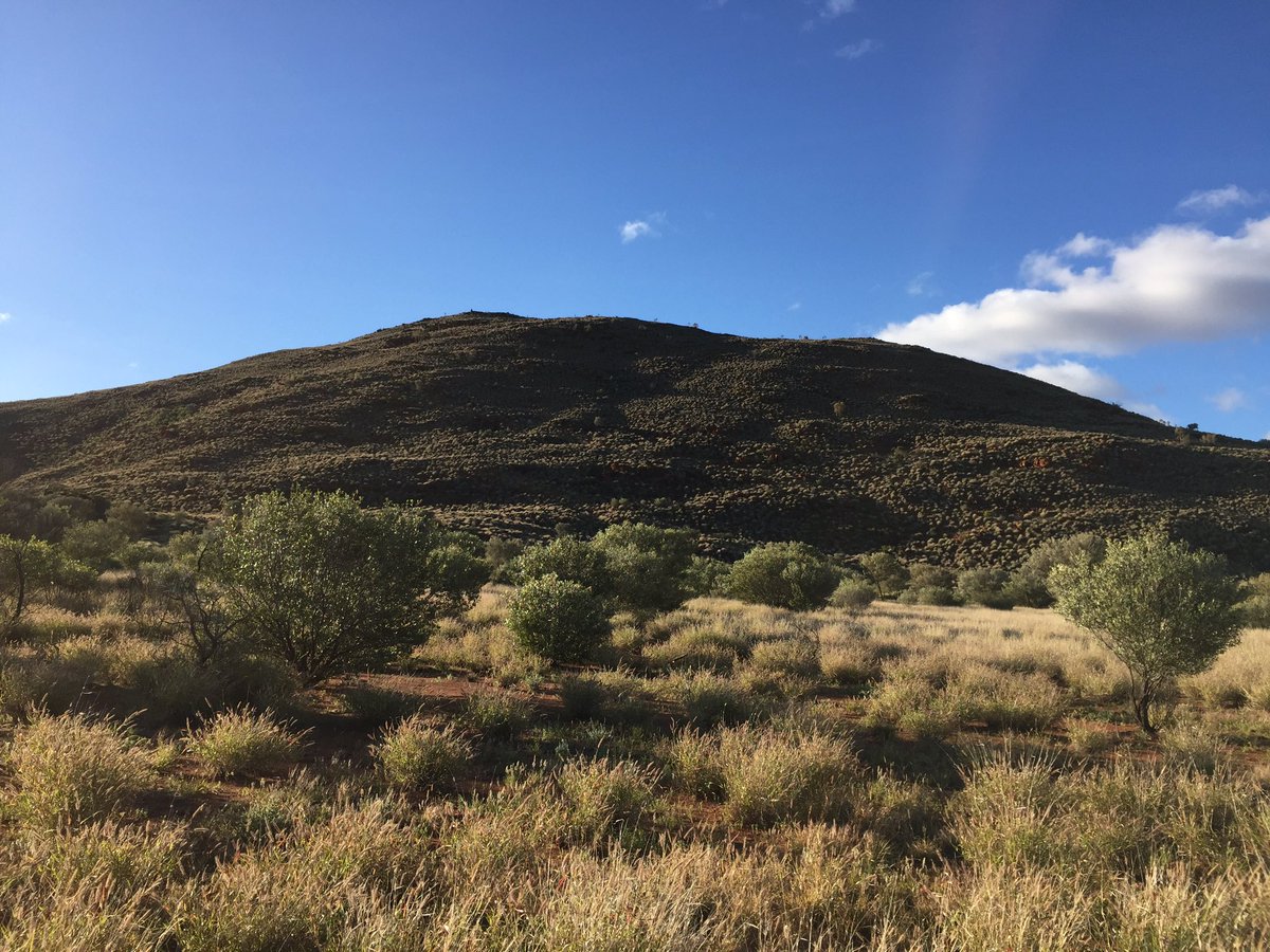 Kickinmyboots's tweet photo. No words! #nofilter https://t.co/xnjroxpuPo
