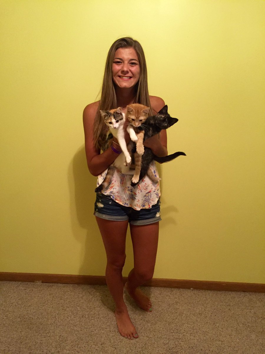 madiroemhild's tweet photo. yellow walls &amp; three kitties, literally the best summer yet https://t.co/tgzKxEhQn0