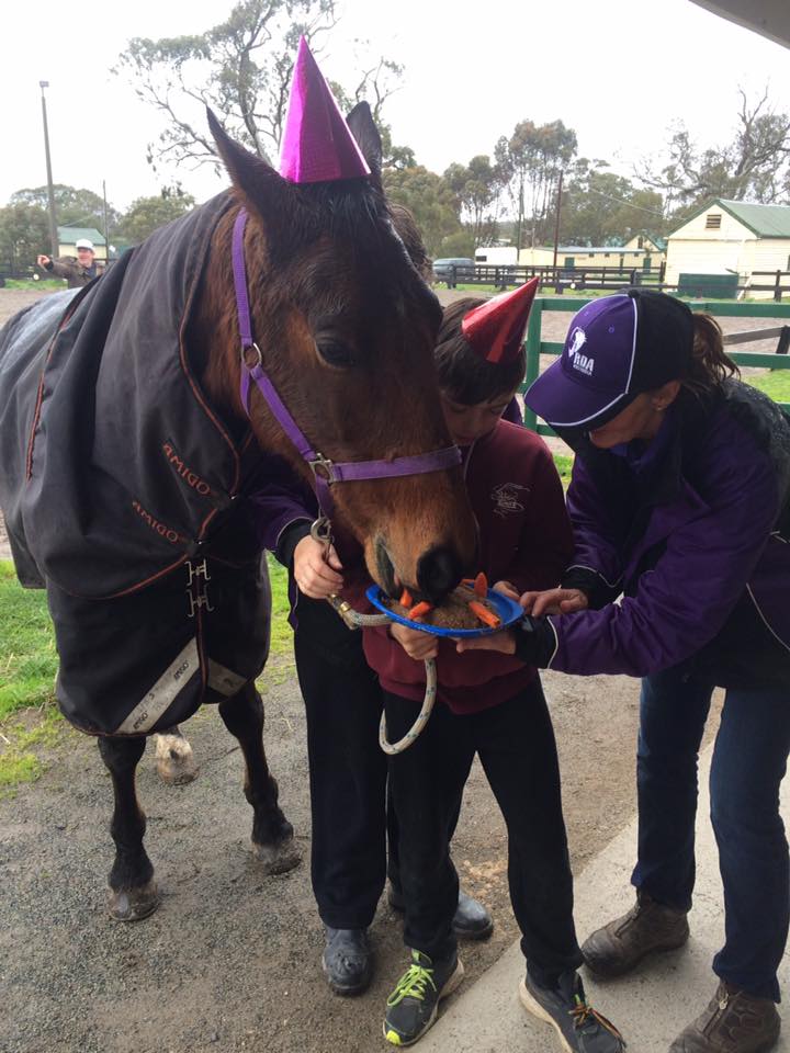 Give JJ the best birthday ever and vote for him in the 2016 RDA Australia Horse of the Year! rda.org.au/horse-of-the-y…