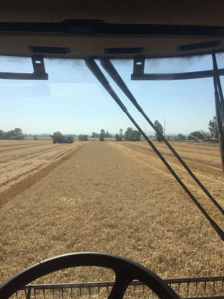 BashawSeed's tweet photo. Last pass of #harvest16 #orag #wheatharvest16 https://t.co/XdNTnyijxa