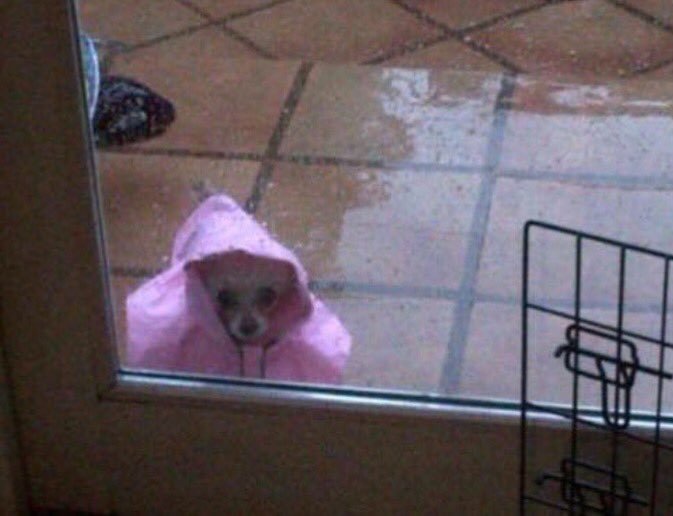 GentlemanVow's tweet photo. When u just want attention from that one person https://t.co/wveUH4lp3w