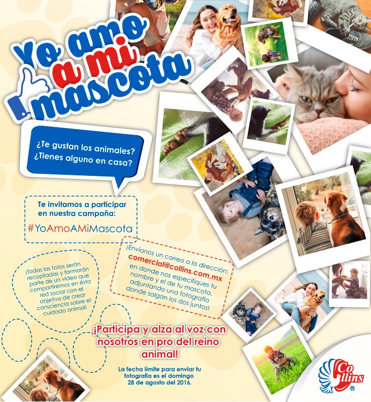 Lab_Collins's tweet image. Participa en nuestra campaña #YoAmoAMiMascota
#Mascotas #animales #perro #Gato #animaLOVERS #naturaleza