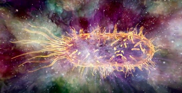 If aliens do exist, what do they look like? Probably not the classic little green men. bit.ly/28P6jiy