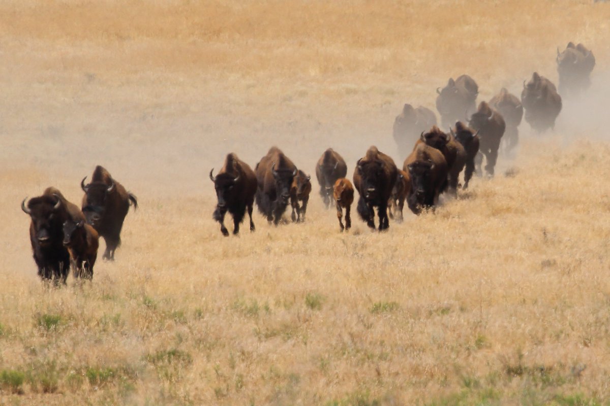 Stan Plewe tweet media