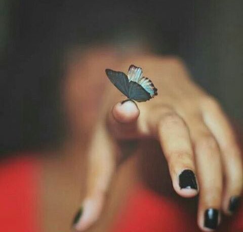 th__ry's tweet photo. ياصباحالخيروهبـات النسيــم
وياصباح النـورونقــول السـلام
السعـاده رزق والمعطـي كــريم
اسعـدالله قلـب من ردالســــلام https://t.co/nUJhiOOcYN