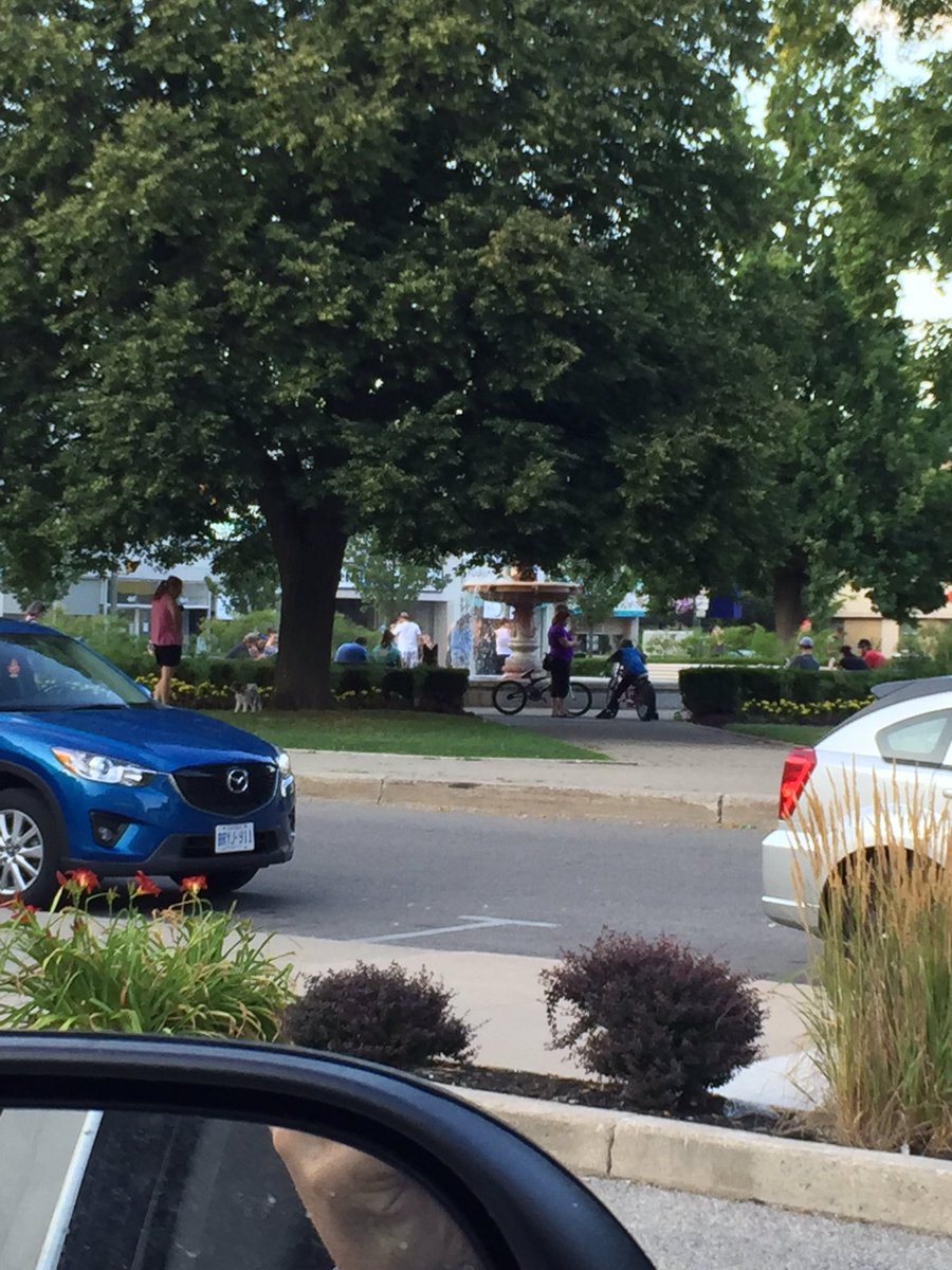 Warren Webb tweet media