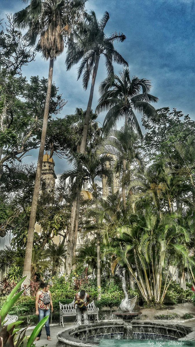 ClaudiaCCoffey's tweet photo. #DiscoverColima #VisitColima #EnjoyColima #ColimaIsAmazing https://t.co/D8HxzdYzQC
