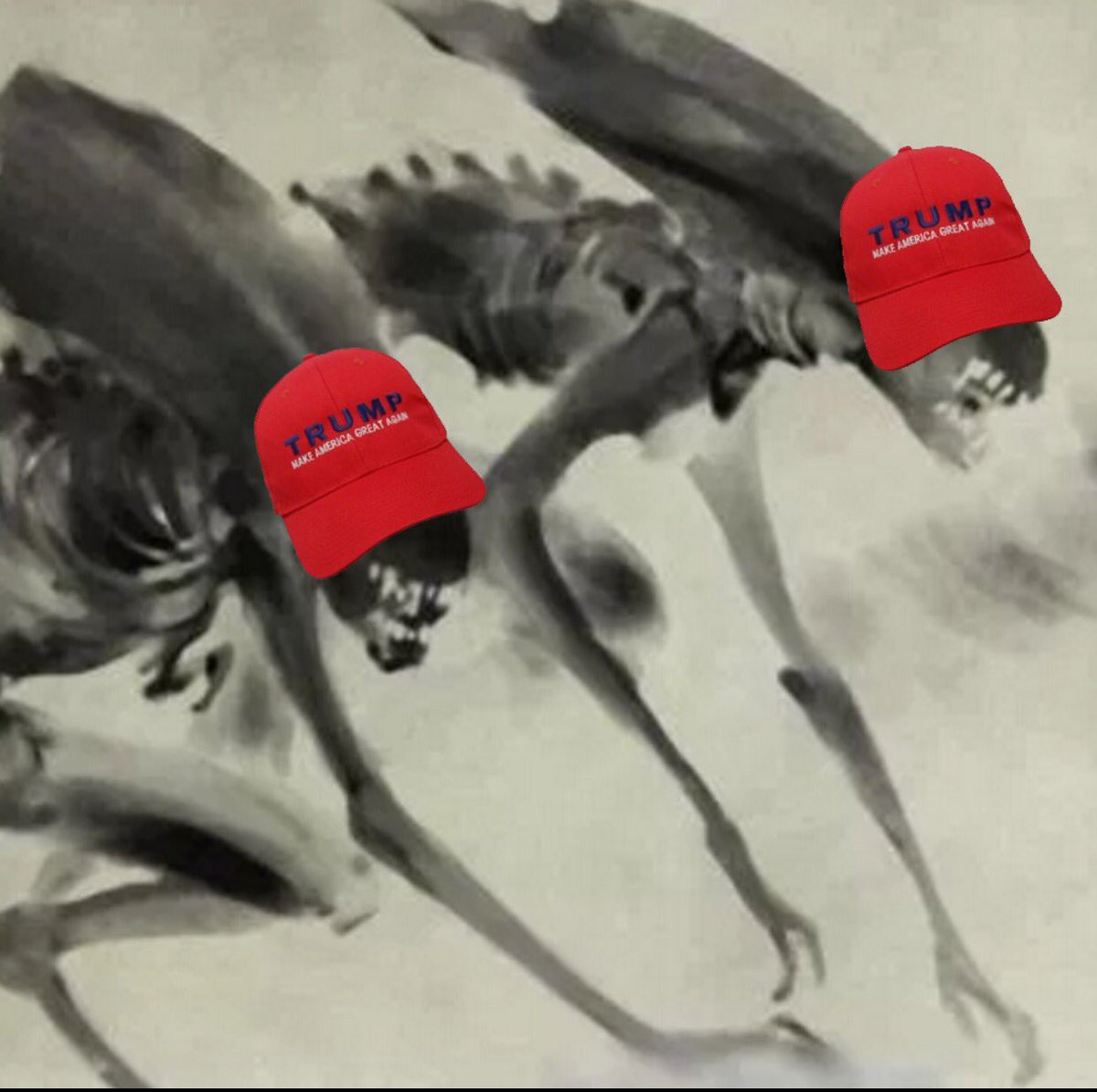 Xenomorph Archiver On Twitter Im Living Proof Trump Isn T Xenophobic Trump Loves Xenos And We Xenomorphs Love God Emperor Trump Trump2016