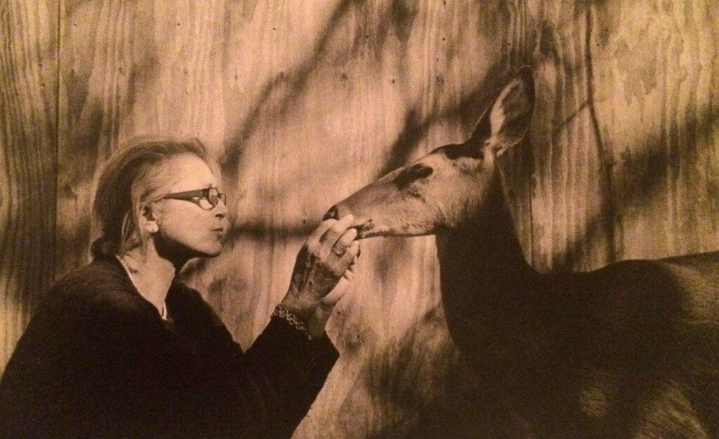 Beachouse tweet media