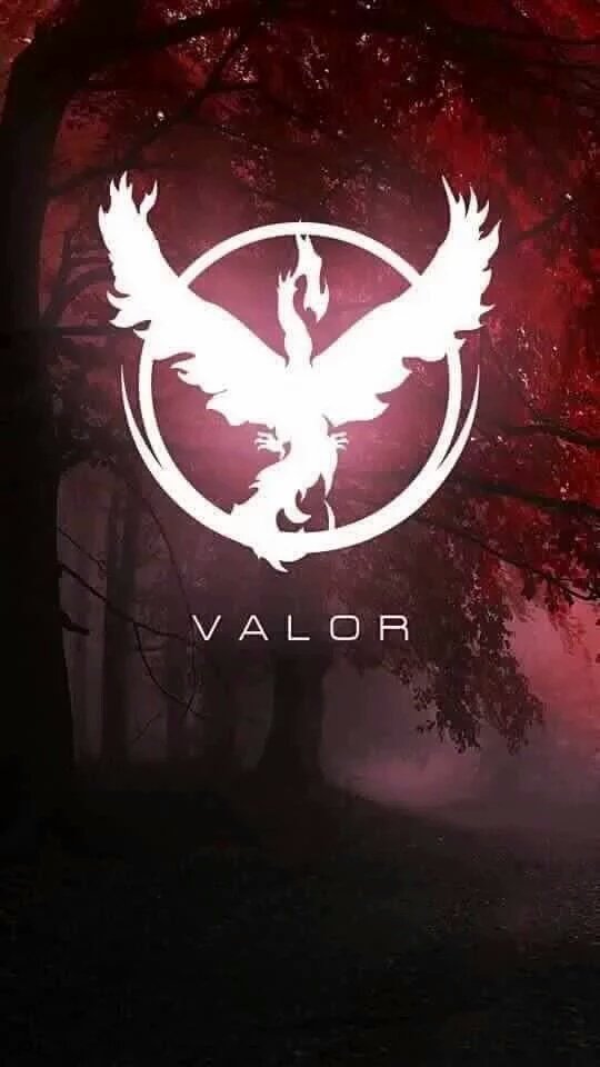 PgoValorArg's tweet photo. @Nicolas_Re18 @SabiduriaAgs y le saque el hashtag para que tenga menos menciones jajaja #TeamValor https://t.co/ozaBTdrE4F