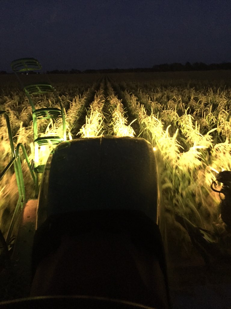 Dave_Dinger's tweet photo. Last night of #fungicide16 #popcorn https://t.co/slXirCPZIN