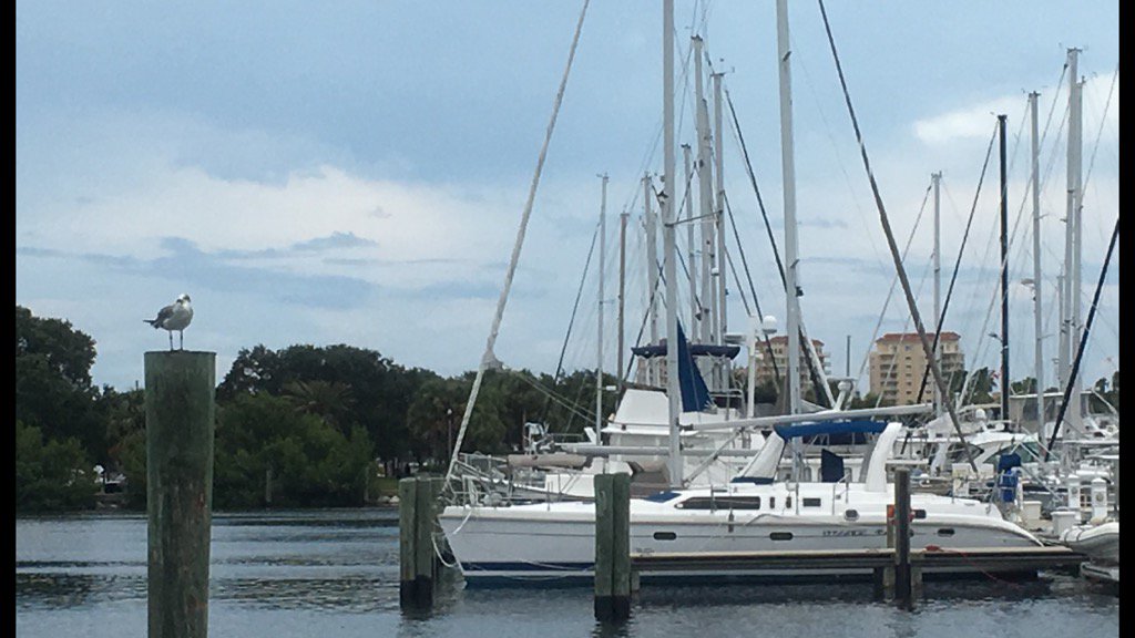 GregAEmerson's tweet photo. Hunter 430 and a seagull both await to take flight @marlowhunter #buildingsimplythebest https://t.co/kd2TwL4FwM