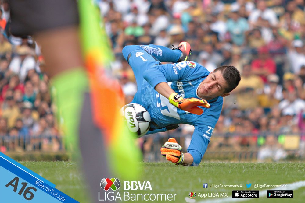 LigaBBVAMX's tweet photo. #MomentosJ3AP2016
5.- Alejandro Palacios de @PumasMX le paró un penal a @clubleonfc, su 2do atajado en #Apertura2016 https://t.co/F2vmolDPvB