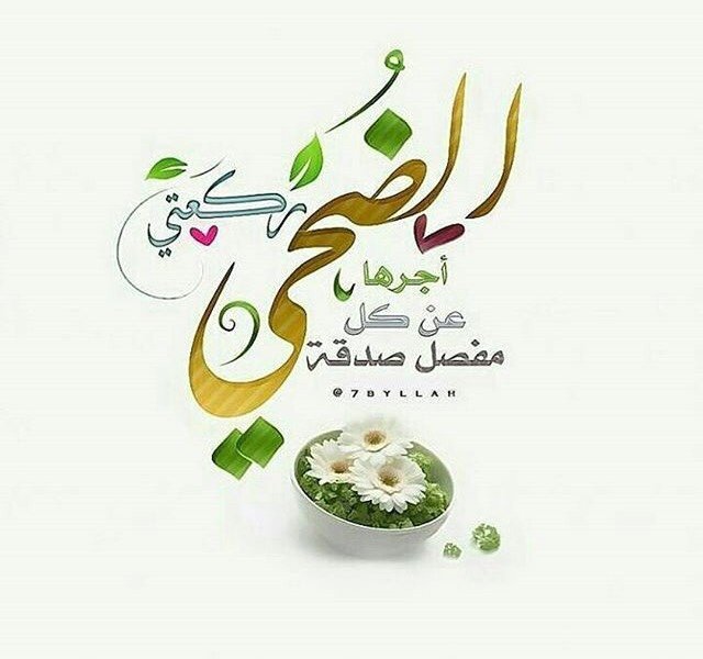 xssaax123's tweet photo. ☁ صلاة الضحى ☁ 
الضحى غيمة باردة ترضي ربك وتسعد قلبك باذن الله وتكافئ بها 360 مفصل من جسدك بالصدقة عنه ☁ https://t.co/738n8VmXjE