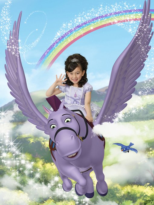 裏ワザ スタジオアリスのディズニー撮影でライセンス料を節約する方法 まとりょのまとめ