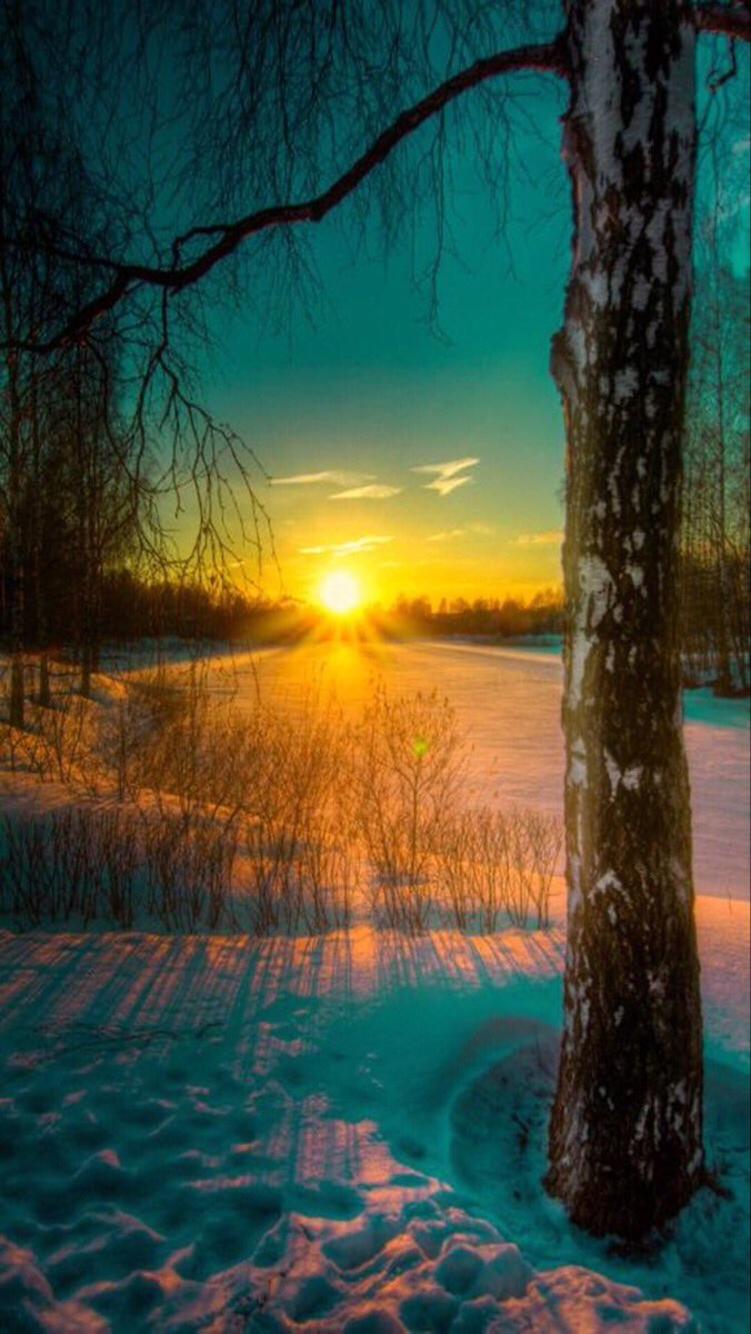 mahz___1's tweet photo. صبّحكم الله بالخير والسرور 
وأغدق عليكم رزق لآ يزول  
واسمعكم مآ تحبون   
.
-
#صبآحكم_خير  ،،🌹🌹🌹 https://t.co/u7T86RTODG