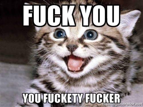 Stephanie Schemenaur (@stephanie_schem) on Twitter photo 