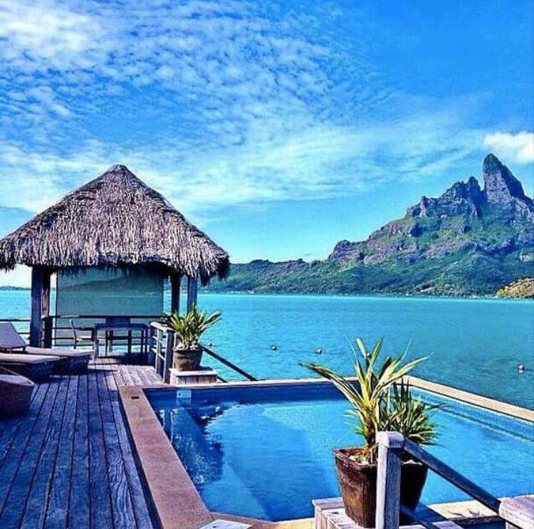 Serrage2's tweet image. MOOD!