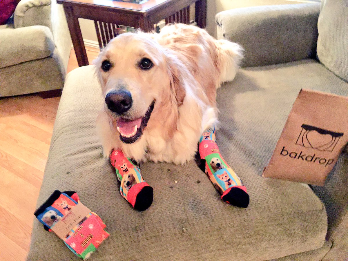 ChristopherD11's tweet photo. Yeah! My Calvin &amp; Hobbes @Bakdrop socks arrived today! 

https://t.co/9DGTEXJfnq  @mycalvinhobbes #bakdrop https://t.co/t1xA1cyNaY